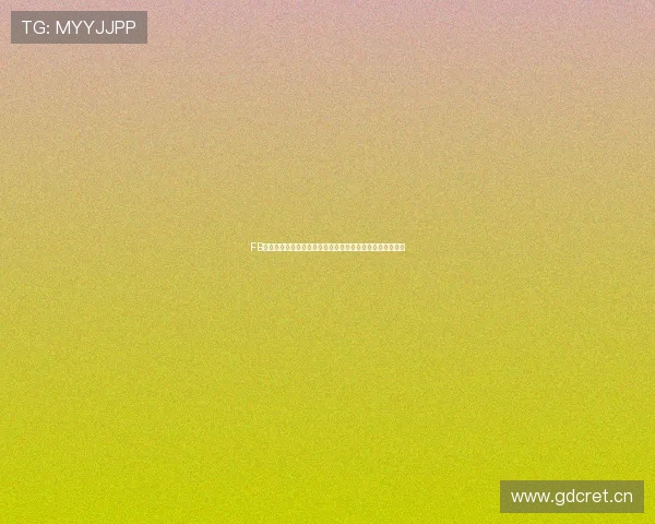 FB体育手机网页版全面解析与使用指南带你畅享实时赛事体验